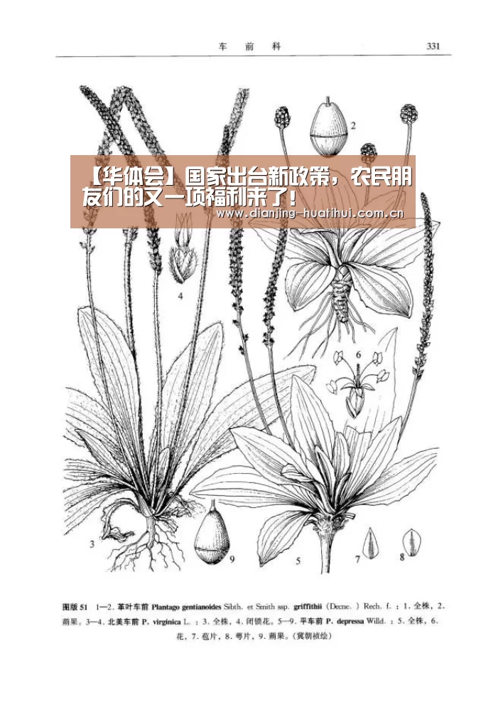 华体会官方网站入口