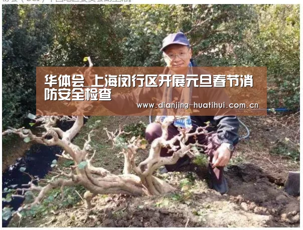 华体会官网