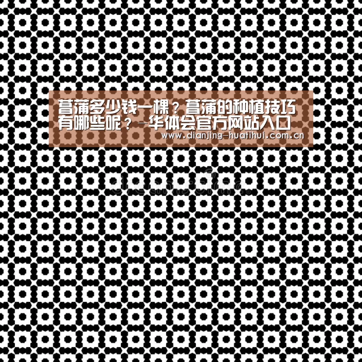 菖蒲多少钱一棵?菖蒲的种植技巧有哪些呢?-华体会官方网站入口(图2) 华体会官网