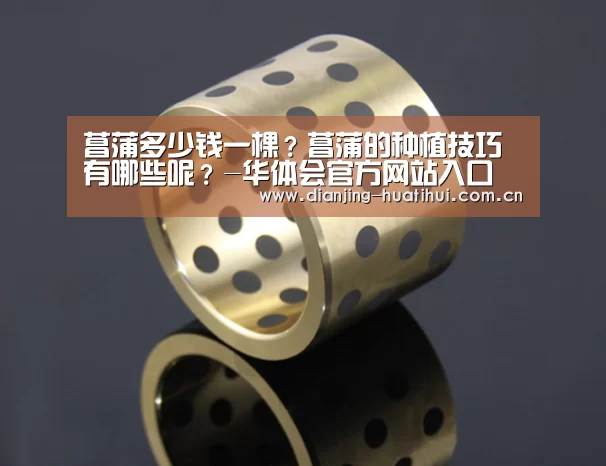 菖蒲多少钱一棵?菖蒲的种植技巧有哪些呢?-华体会官方网站入口(图3) 华体会官网