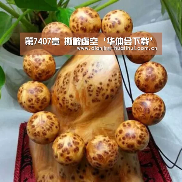 第7407章 撕破虚空‘华体会下载’(图3) 华体会