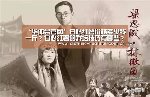 华体会官方网站入口