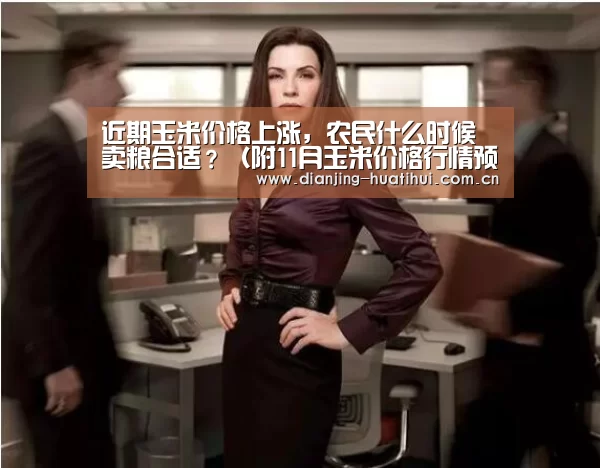近期玉米价格上涨，农民什么时候卖粮合适？（附11月玉米价格行情预测）|华体会官网