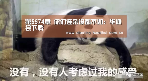 华体会