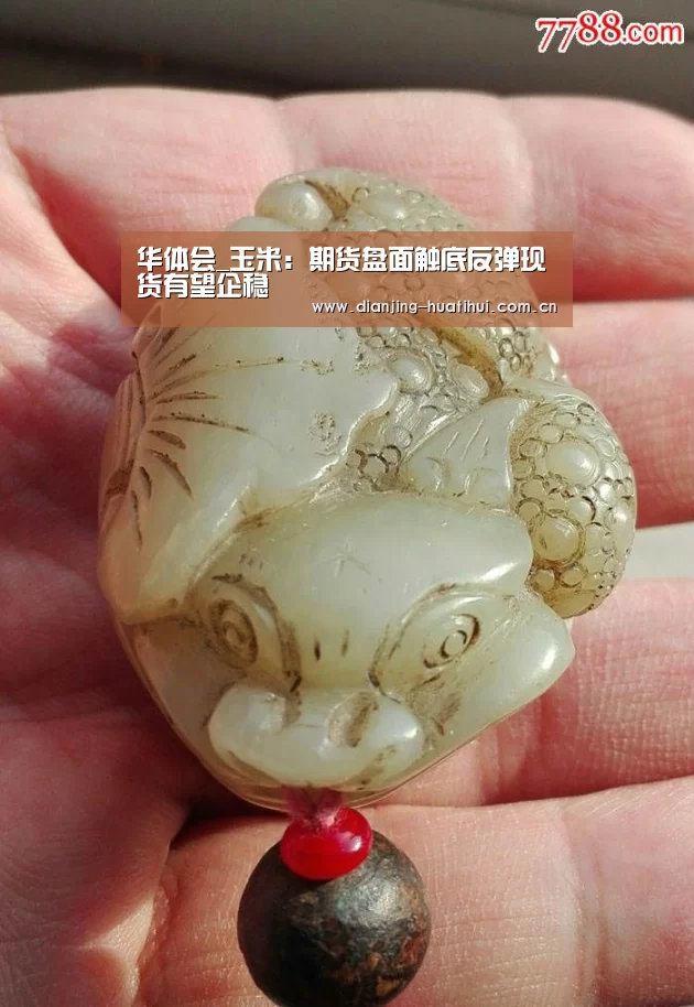 华体会下载