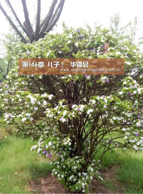 华体会下载