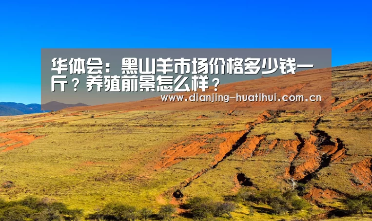 华体会:黑山羊市场价格多少钱一斤?养殖前景怎么样?(图2) 华体会官网