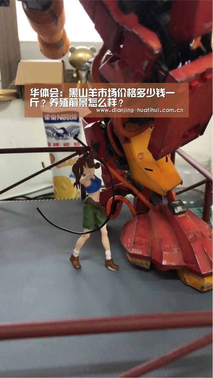 华体会:黑山羊市场价格多少钱一斤?养殖前景怎么样?(图4) 华体会