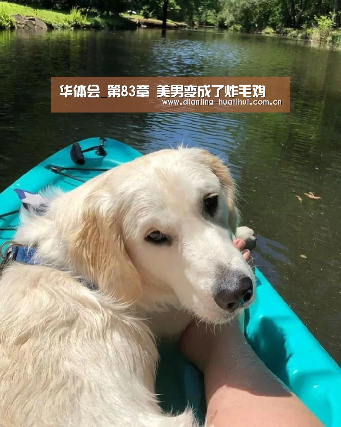华体会官网