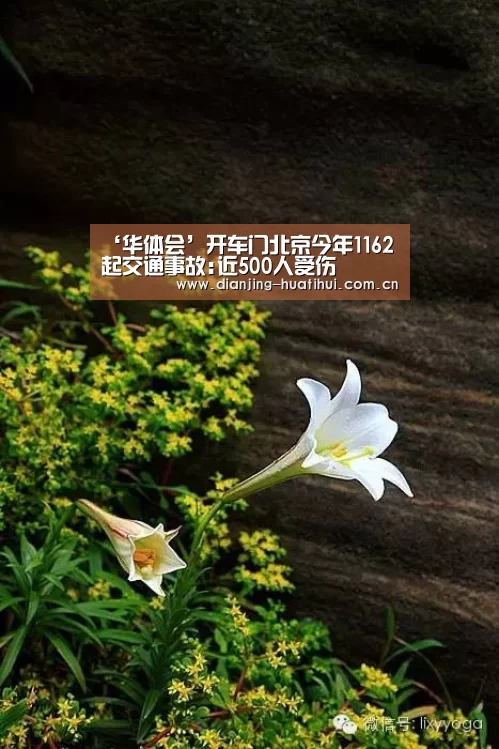 华体会下载