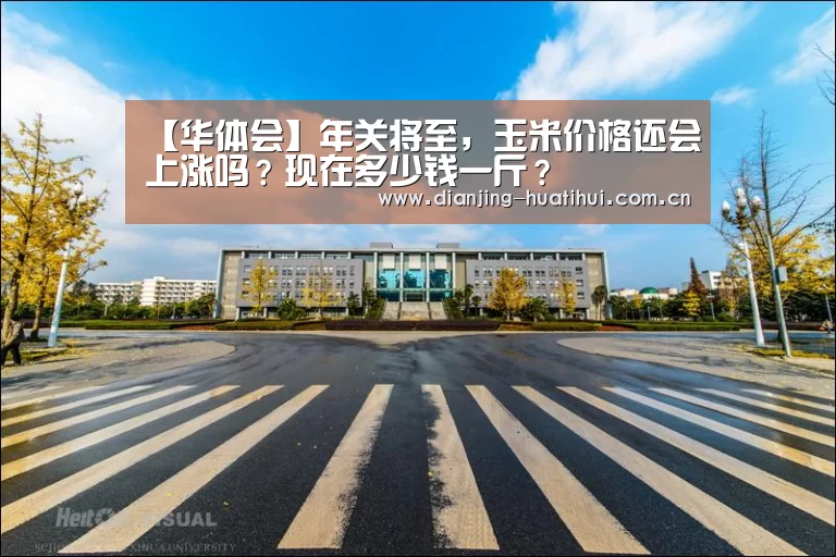 华体会